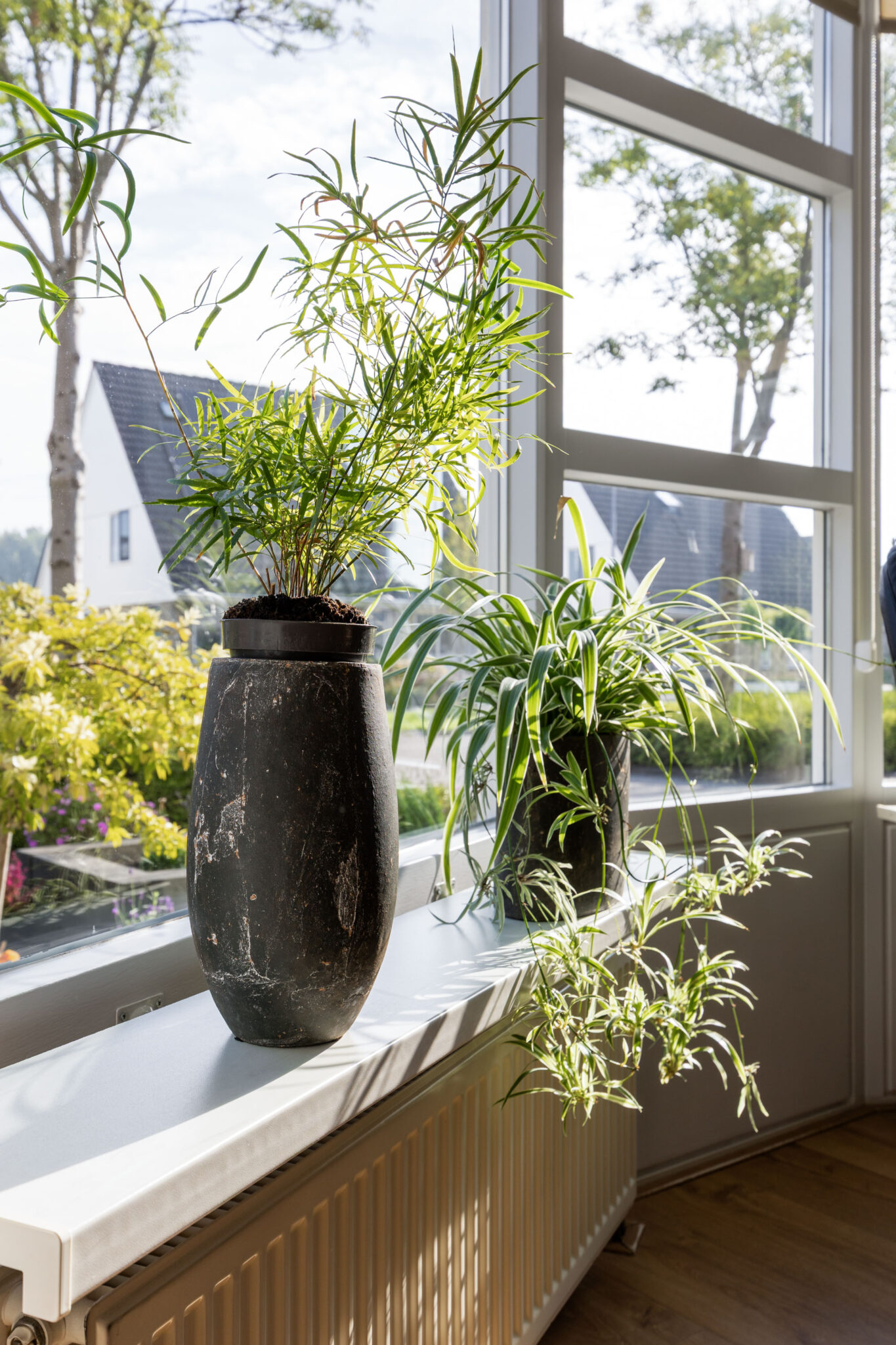 Tussenwoning te koop: reiger 14, Bedum